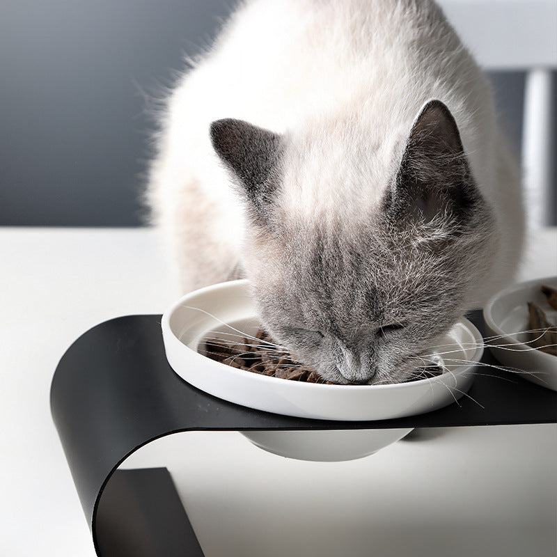 KFX-8231613 Double Bowl Dog Bowl Set with Iron Frame and Ceramic Bowls for Cats