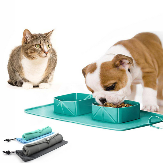 KFX-8231741 Folding Silicone Pet Bowl for Dogs and Cats - Mint Green & Gray, Portable with Storage Bag