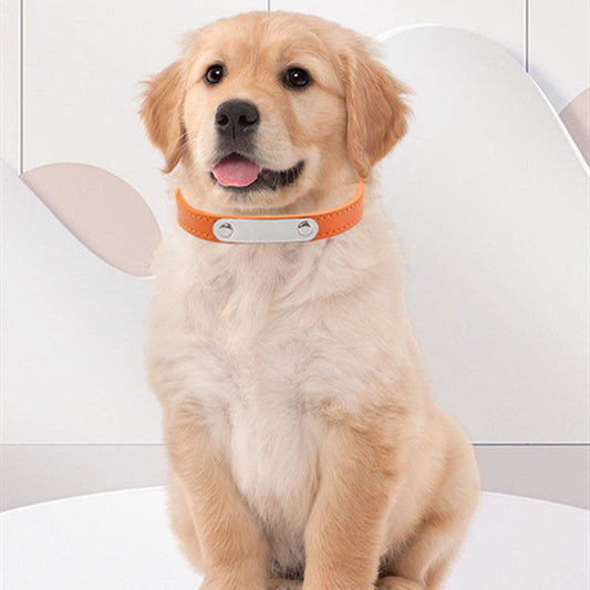 KFX-8237373 Personalized Monochrome Dog Collar with Adjustable Sizing Options in Various Colors
