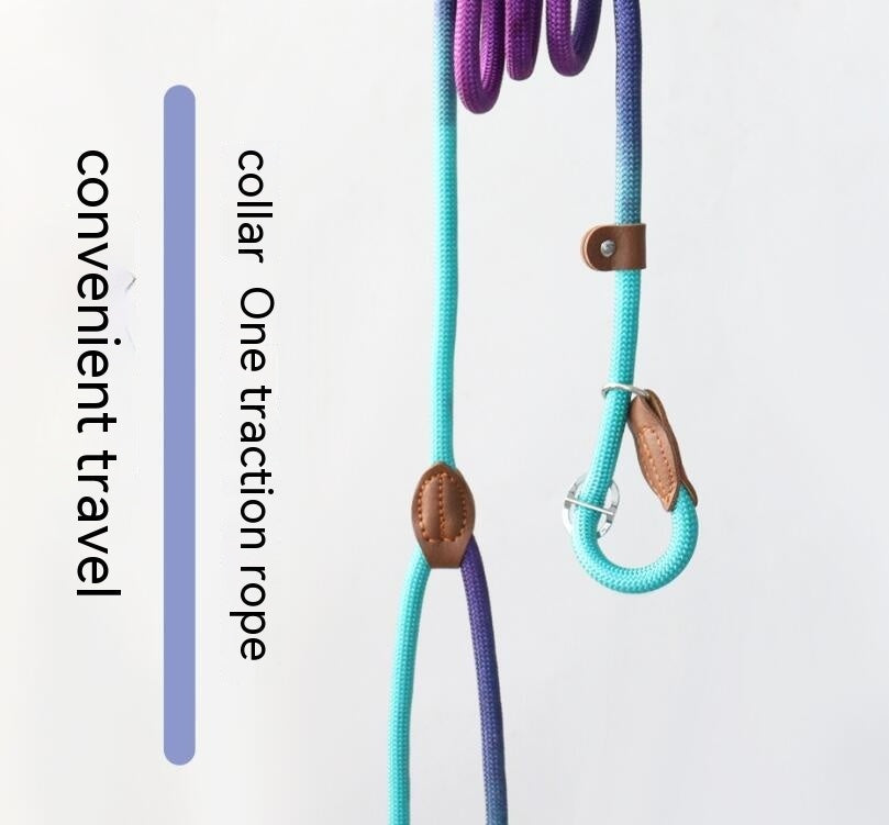 KFX-8246845 Colorful Durable Nylon Pet Hand Holding Rope in Various Combinations