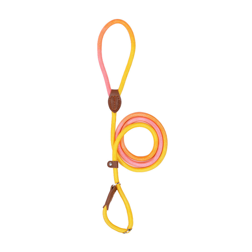 KFX-8246845 Colorful Durable Nylon Pet Hand Holding Rope in Various Combinations