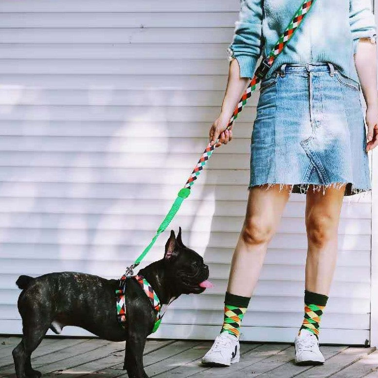 KFX-8252605 Multifunctional Adjustable Dog Traction Rope with Shock Absorption and Three-Way Grip System