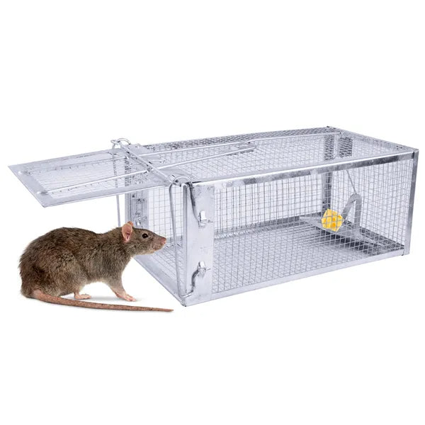 KFX-8256445 Humane Live Rodent Trap Cage - 2 Pack Galvanized Iron Mice & Rat Control with Auto-locking Door