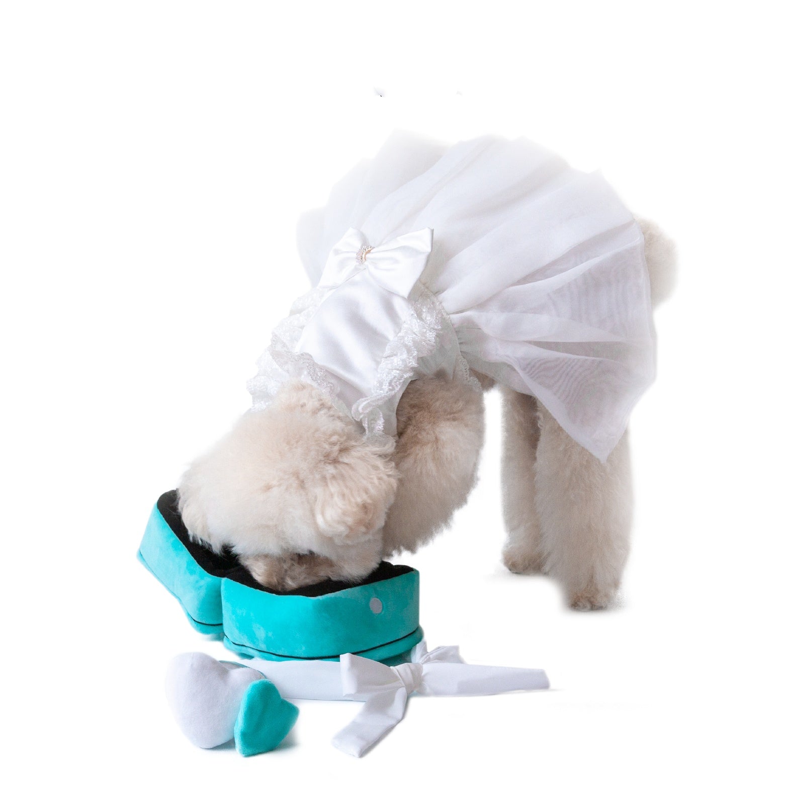 KFX-8256573 Plush Sniffing Toy Ring for Dogs - Soft Flannel, Washable Design, 120mm x 120mm x 140mm