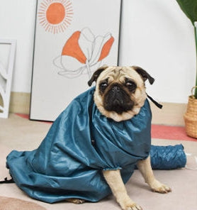 KFX-8266173 Automatic Pet Drying Bag with Quick-Drying Hair Dryer for Bathing Dogs