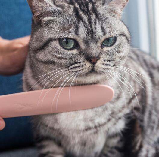 KFX-8269885 Cat Tongue Comb for Gentle Grooming – Soft ABS, Dual-Sided Design in Morandi Gray and Powder
