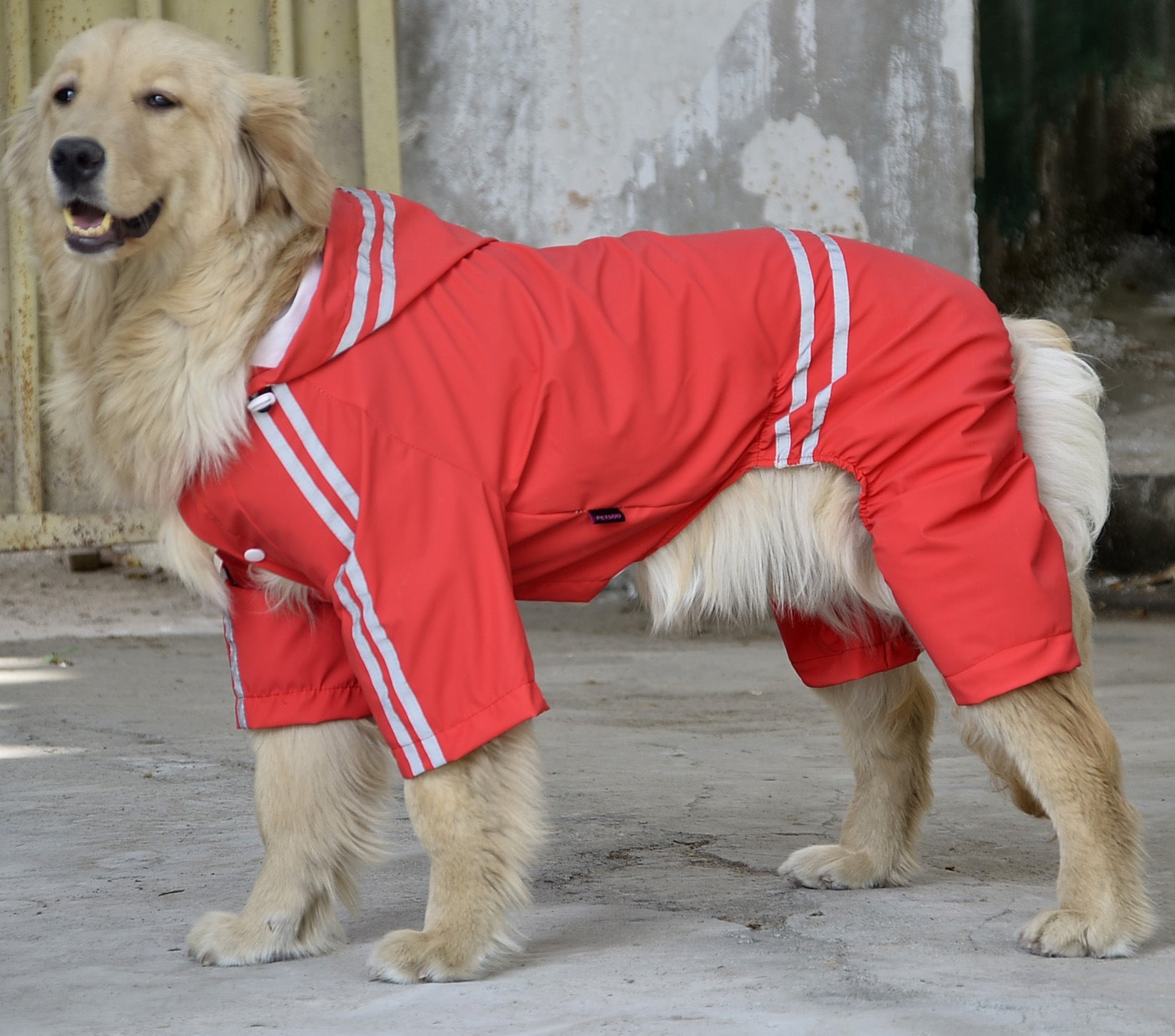KFX-8272445 Water-Resistant Raincoat for Large and Medium Dogs - Acrylic Material