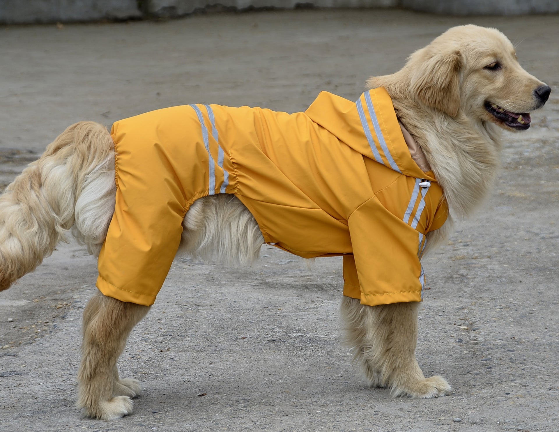 KFX-8272445 Water-Resistant Raincoat for Large and Medium Dogs - Acrylic Material