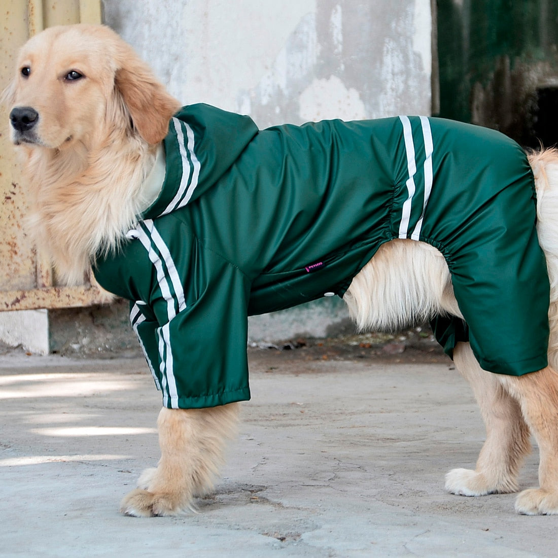 KFX-8272445 Water-Resistant Raincoat for Large and Medium Dogs - Acrylic Material