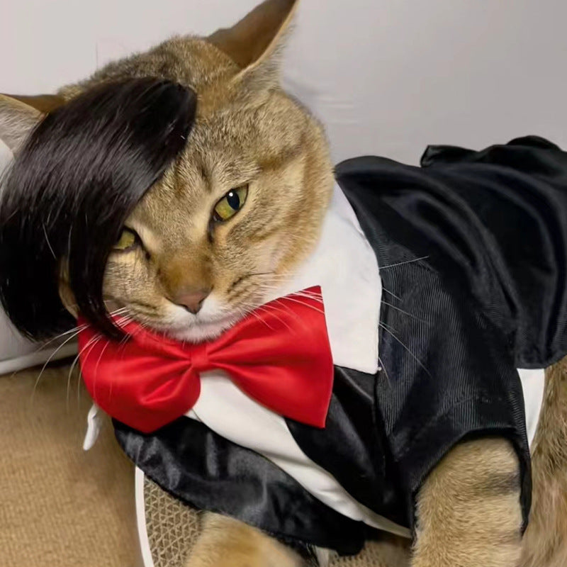 KFX-8273725 Funny Cat Wig Costume Accessory - Black Polyester Imitation Braid for Dress-Up