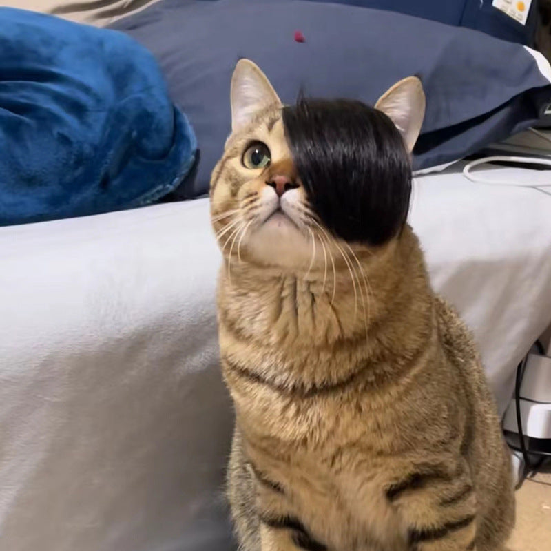 KFX-8273725 Funny Cat Wig Costume Accessory - Black Polyester Imitation Braid for Dress-Up