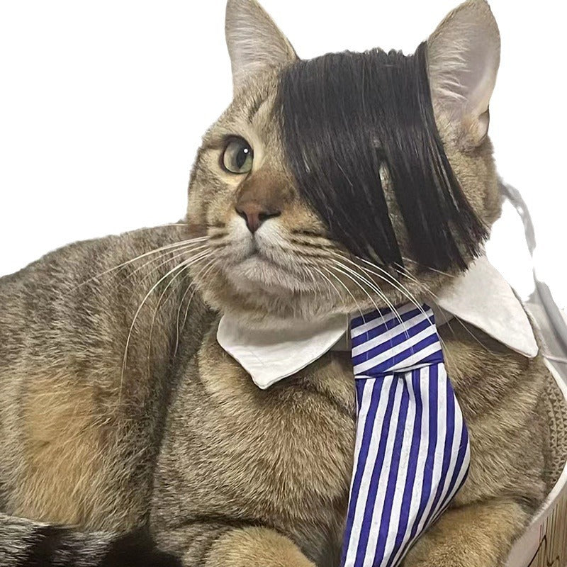 KFX-8273725 Funny Cat Wig Costume Accessory - Black Polyester Imitation Braid for Dress-Up