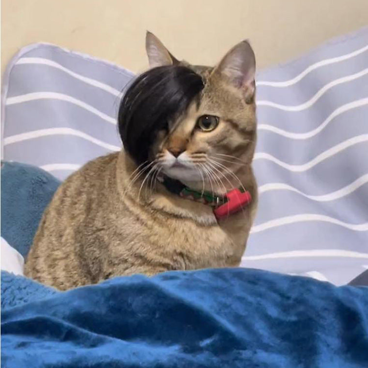 KFX-8273725 Funny Cat Wig Costume Accessory - Black Polyester Imitation Braid for Dress-Up