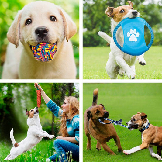 KFX-8280637 Golden Dog Chew Toy Set - Two-Color Corn, Cotton Balls & Play Balls for Large & Small Dogs