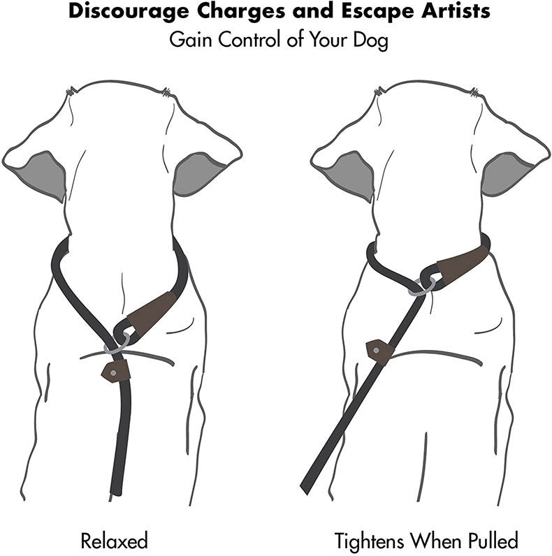 KFX-8285373 Dog Nylon Tow Rope Leash - Strong Pull-Resistant P Chain Walking Lead in Multiple Colors