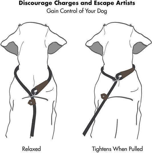 KFX-8285373 Dog Nylon Tow Rope Leash - Strong Pull-Resistant P Chain Walking Lead in Multiple Colors