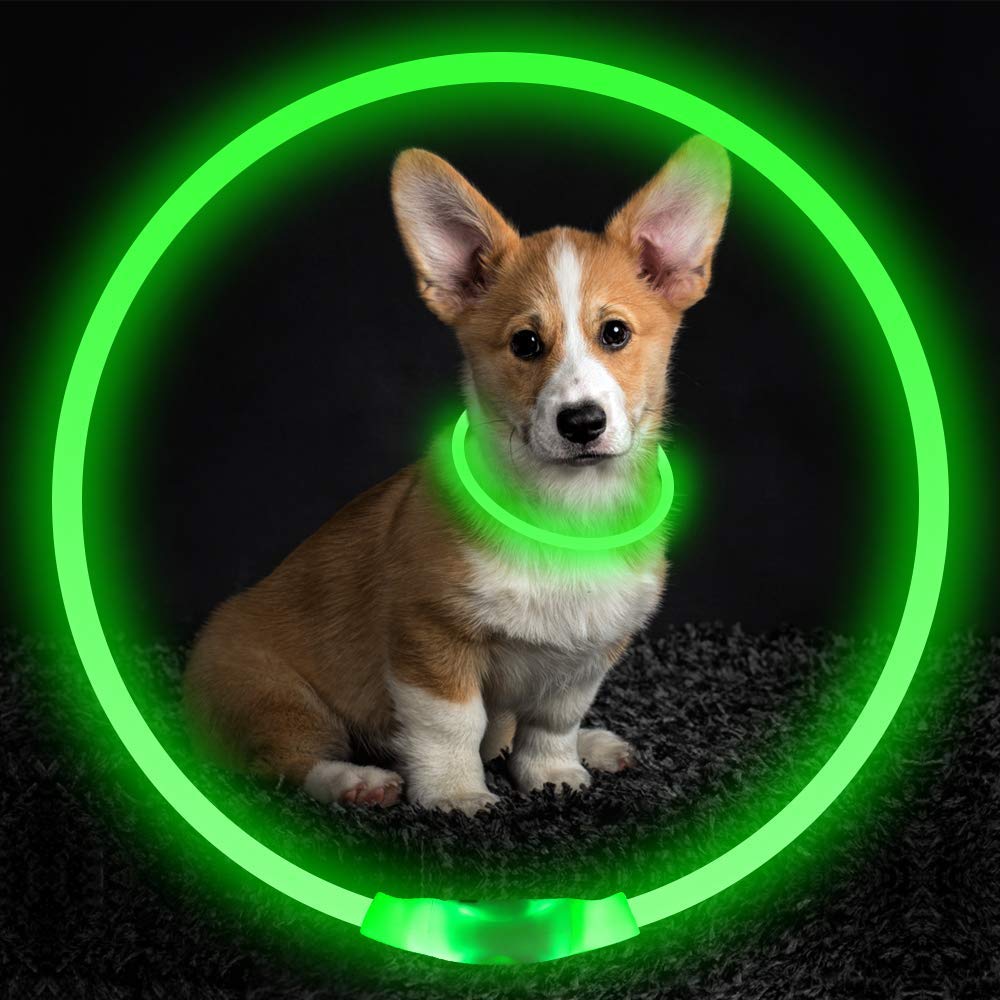 KFX-8287549 USB Rechargeable Glow-in-the-Dark Safety Collar for Dogs - Visible Up to 500 Meters, Available in Multiple Sizes