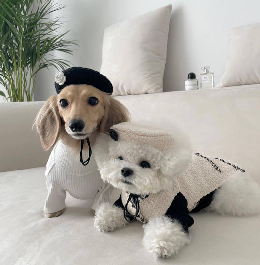 KFX-8290365 Fashionable Knitted Hat for Pets - Black and Beige, Designed for Comfort and Style, Head Circumference 40cm