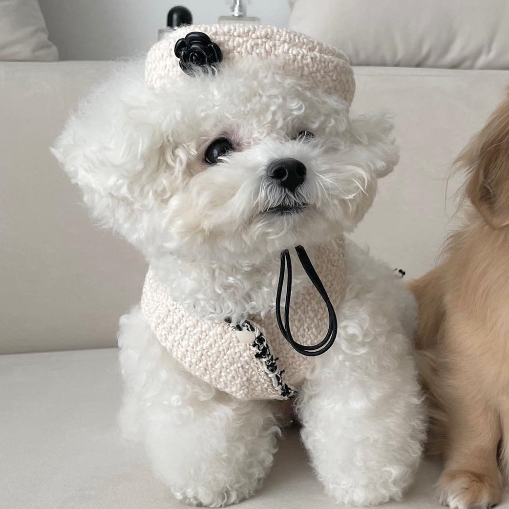 KFX-8290365 Fashionable Knitted Hat for Pets - Black and Beige, Designed for Comfort and Style, Head Circumference 40cm