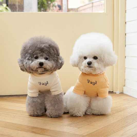 KFX-8291901 Refreshing Color Printed Cotton Dog T-Shirt - Short Sleeves in Multiple Sizes
