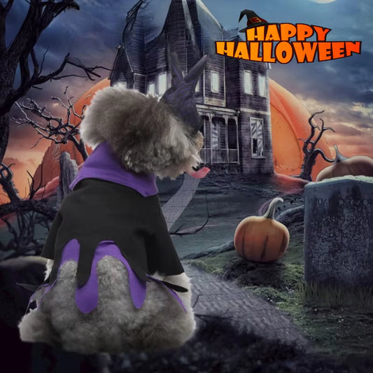 KFX-8292925 Colorful Butterfly Wings Dog Costume for Festivals in Various Sizes and Styles