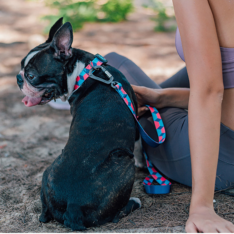 KFX-8295101 Nylon Traction Rope Dog Leash - 120CM Durable Design for Comfortable Walking
