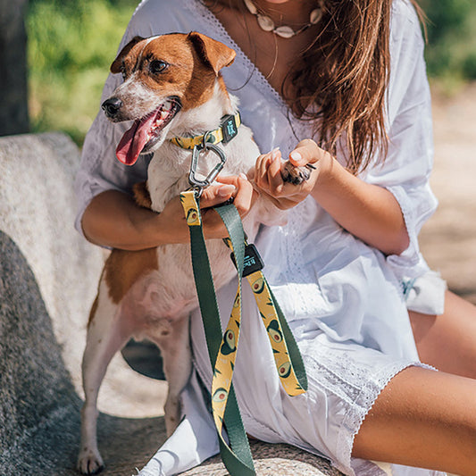 KFX-8295101 Nylon Traction Rope Dog Leash - 120CM Durable Design for Comfortable Walking