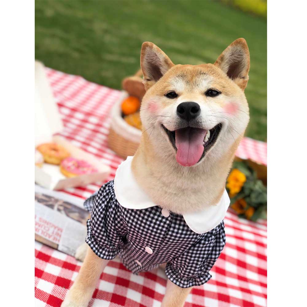 KFX-8305213 Casual Cotton Shirt for Pets - Comfortable and Stylish Apparel