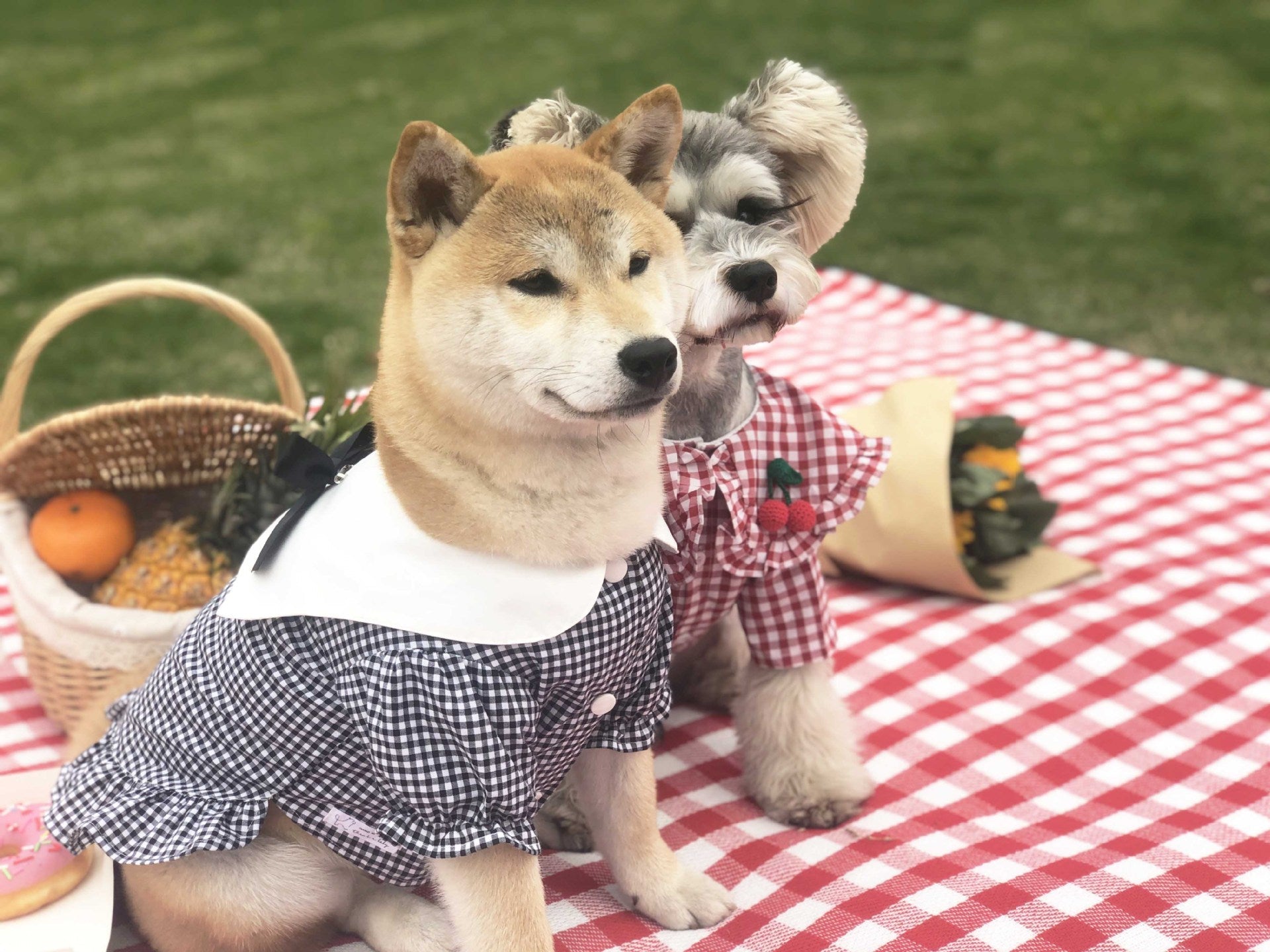 KFX-8305213 Casual Cotton Shirt for Pets - Comfortable and Stylish Apparel
