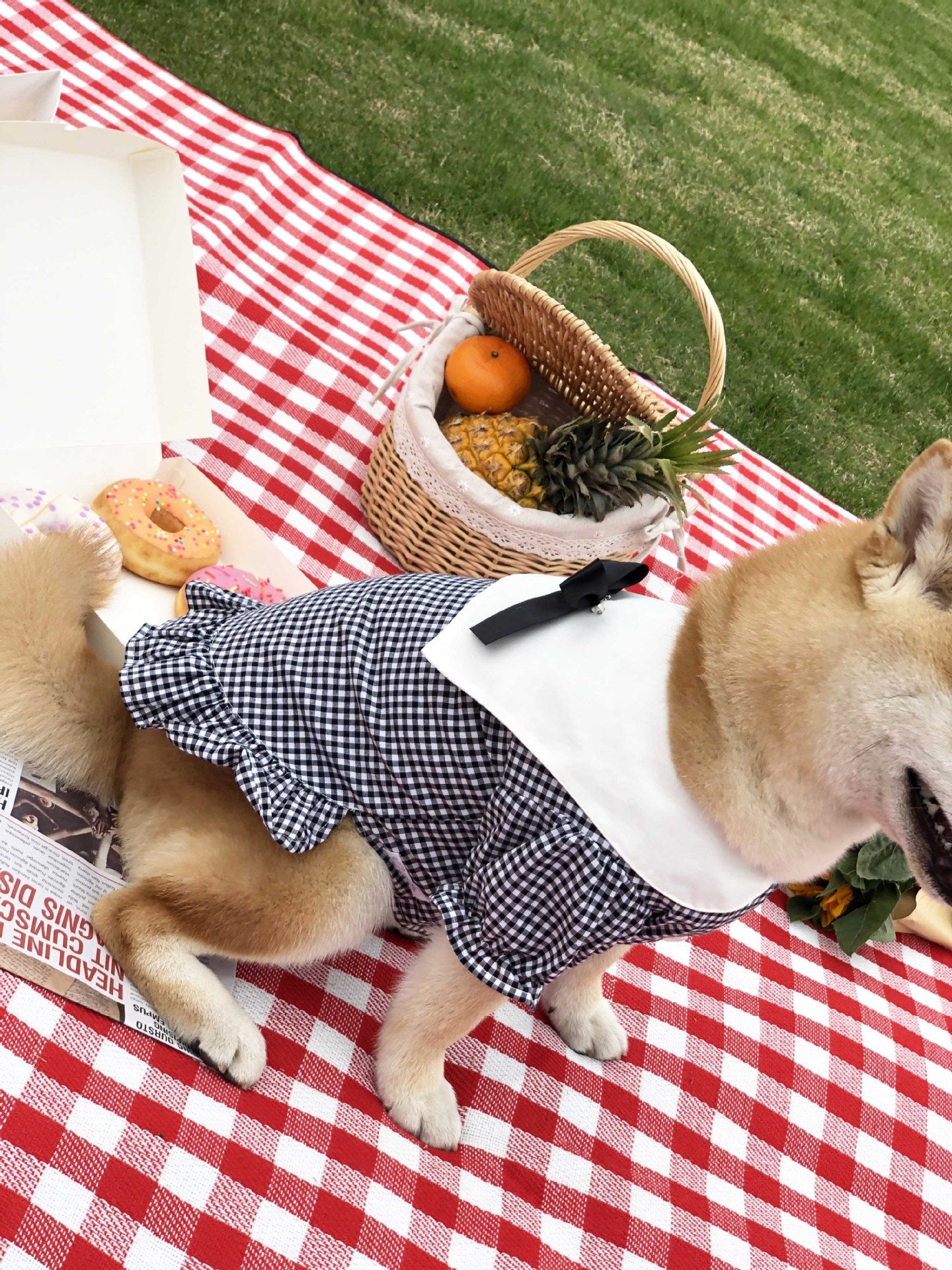 KFX-8305213 Casual Cotton Shirt for Pets - Comfortable and Stylish Apparel