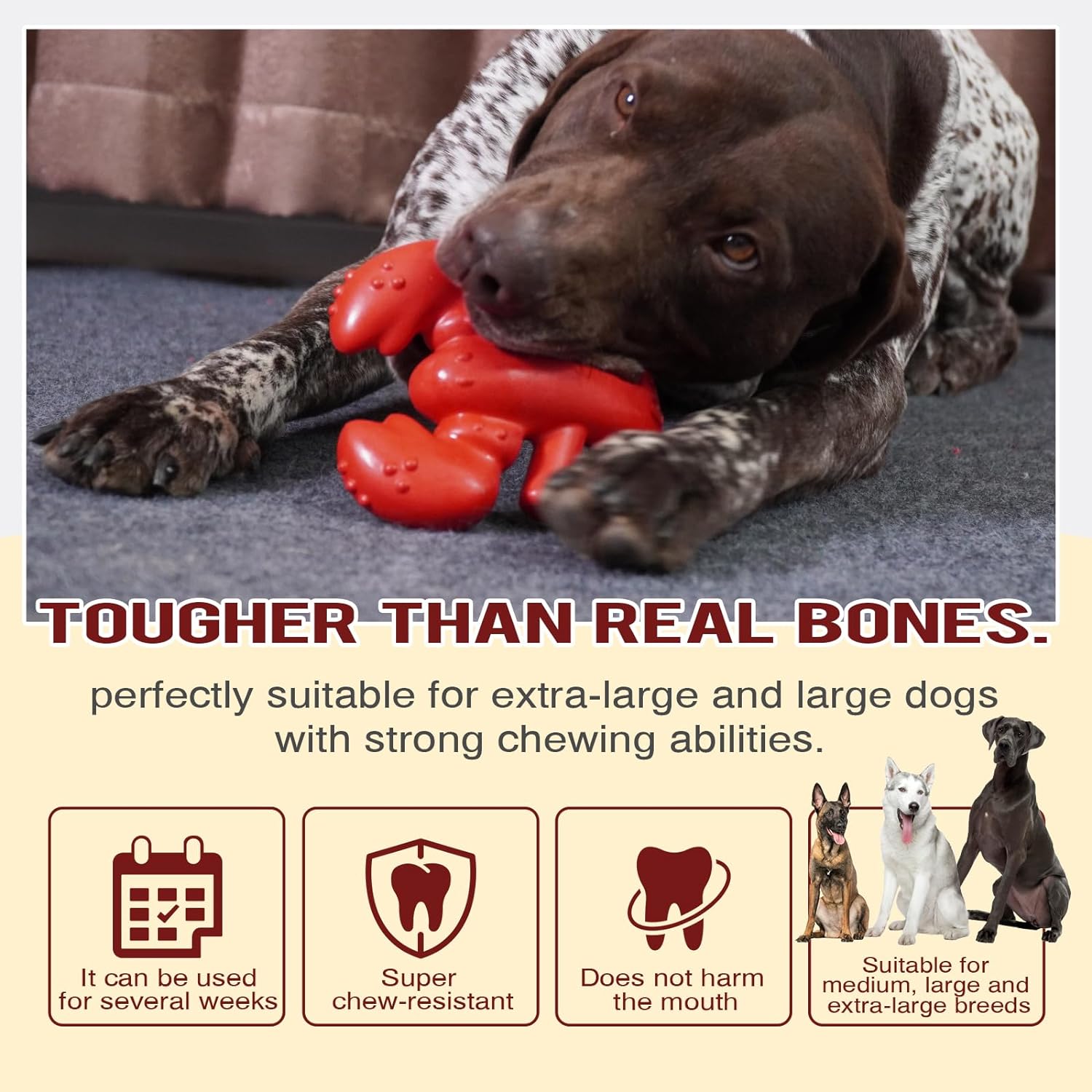 KFX-8310077 Durable Chew Toy for Large and Medium Dogs, Promotes Dental Health and Provides Hours of Fun