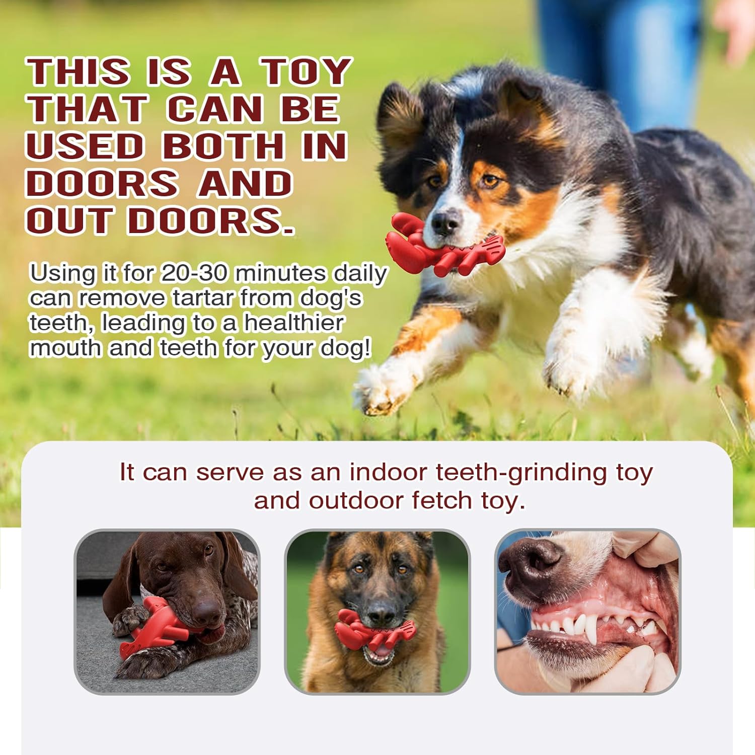 KFX-8310077 Durable Chew Toy for Large and Medium Dogs, Promotes Dental Health and Provides Hours of Fun