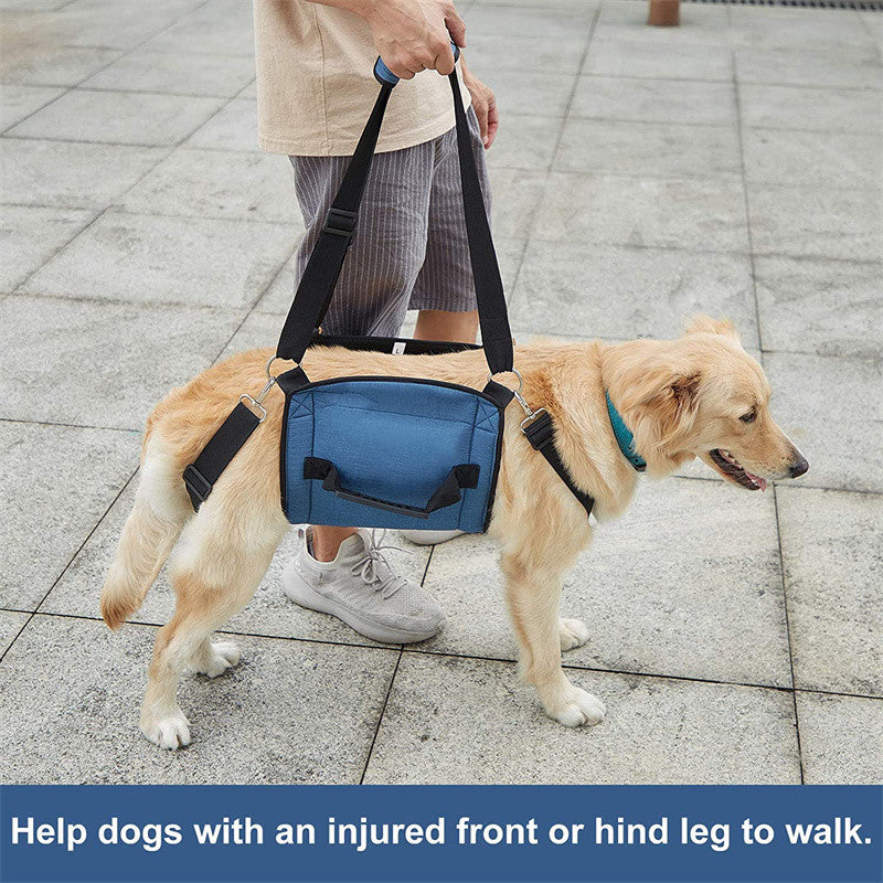 KFX-8311869 Support Sling for Older and Disabled Dogs - Nylon Pet Carrying Aid in Black and Sapphire Blue
