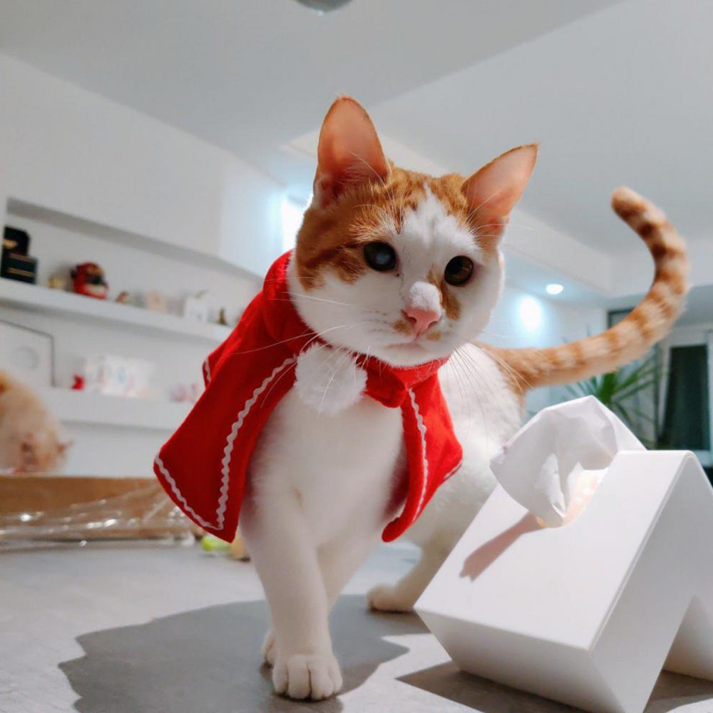 KFX-8320701 Classic Red Christmas Cape for Dogs and Cats in Fleece Material