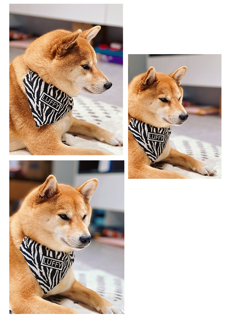 KFX-8335677 Triangle Scarf for Pets - Black and White Herringbone Zebra Pattern, Adjustable Sizes S-XL