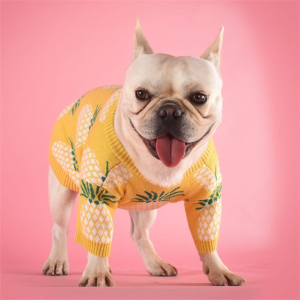 KFX-8337597 Pineapple Print Cotton Sweater in Multiple Sizes