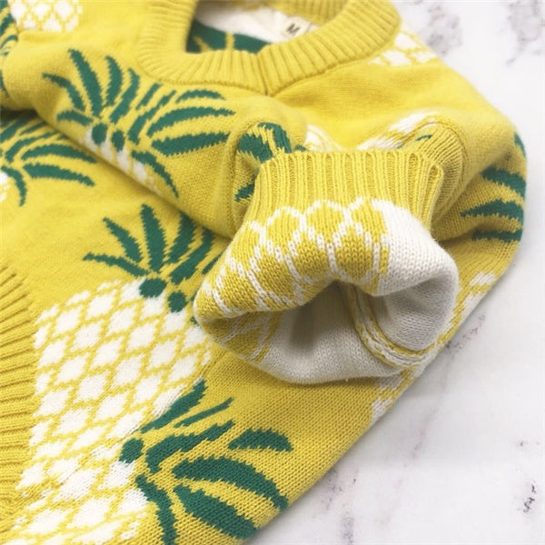 KFX-8337597 Pineapple Print Cotton Sweater in Multiple Sizes