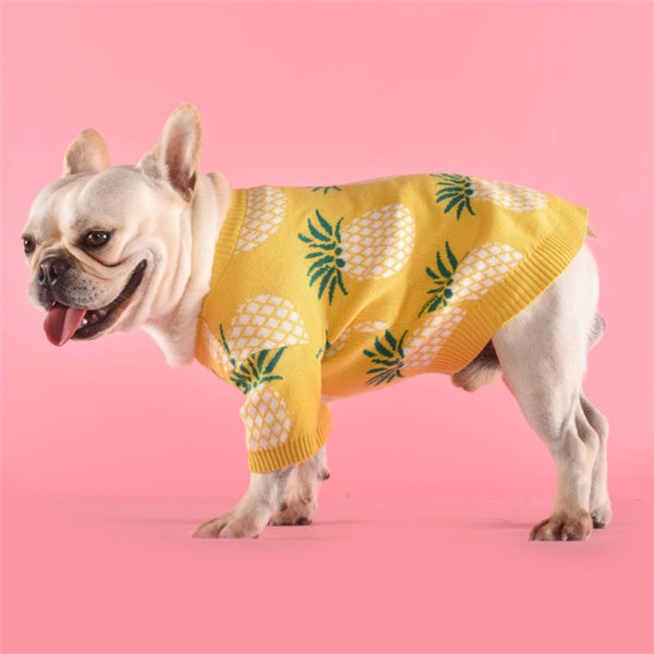 KFX-8337597 Pineapple Print Cotton Sweater in Multiple Sizes