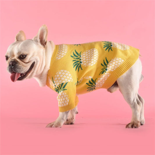 KFX-8337597 Pineapple Print Cotton Sweater in Multiple Sizes