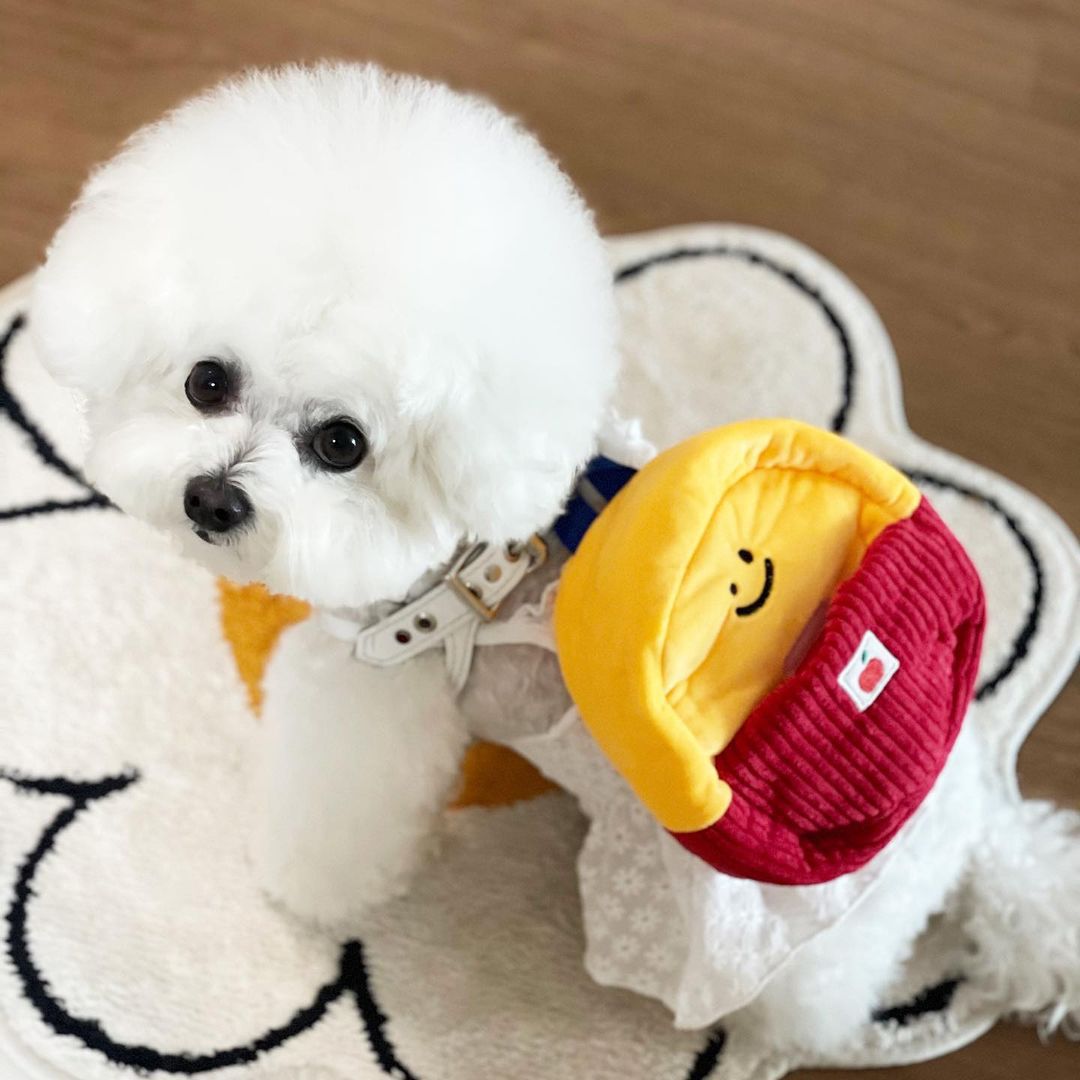 KFX-8338237 Plush School Bag Toy Set for Dogs - Three Pencil-Shaped Plush Toys