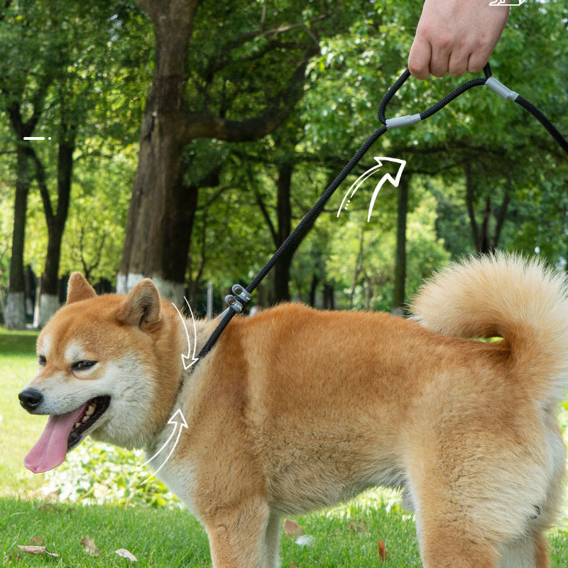 KFX-8339389 Strong Double Handle No Pull Dog Leash with Slip Chain for Small Dogs and Puppies – 1.4m Nylon Rope Traction Lead