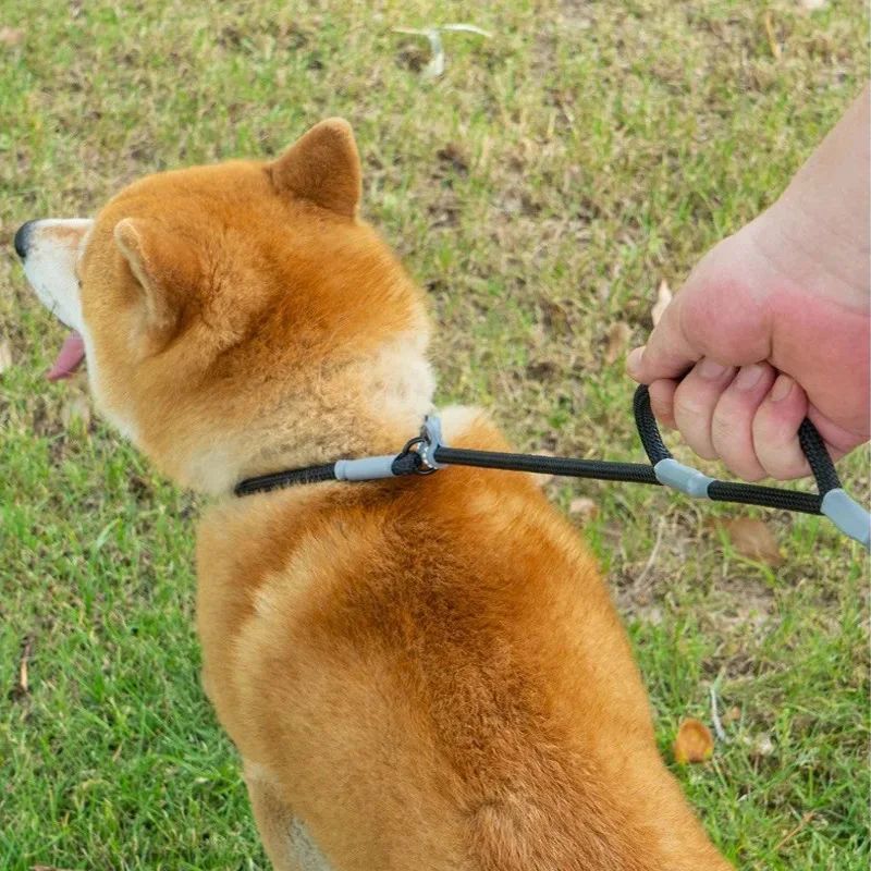 KFX-8339389 Strong Double Handle No Pull Dog Leash with Slip Chain for Small Dogs and Puppies – 1.4m Nylon Rope Traction Lead