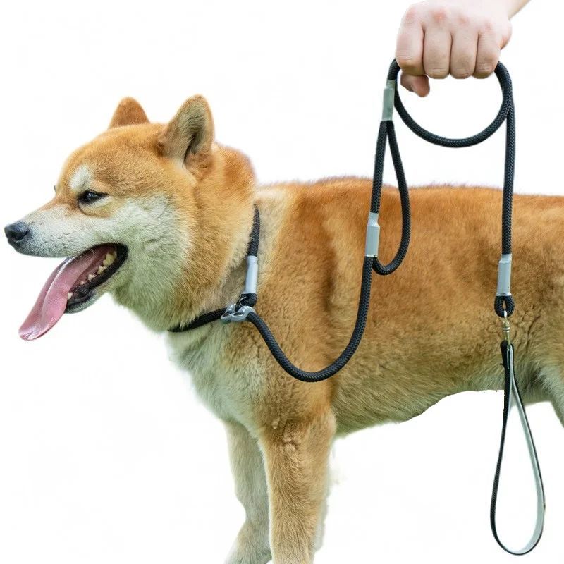KFX-8339389 Strong Double Handle No Pull Dog Leash with Slip Chain for Small Dogs and Puppies – 1.4m Nylon Rope Traction Lead