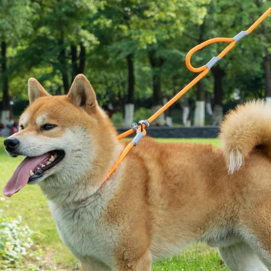KFX-8339389 Strong Double Handle No Pull Dog Leash with Slip Chain for Small Dogs and Puppies – 1.4m Nylon Rope Traction Lead