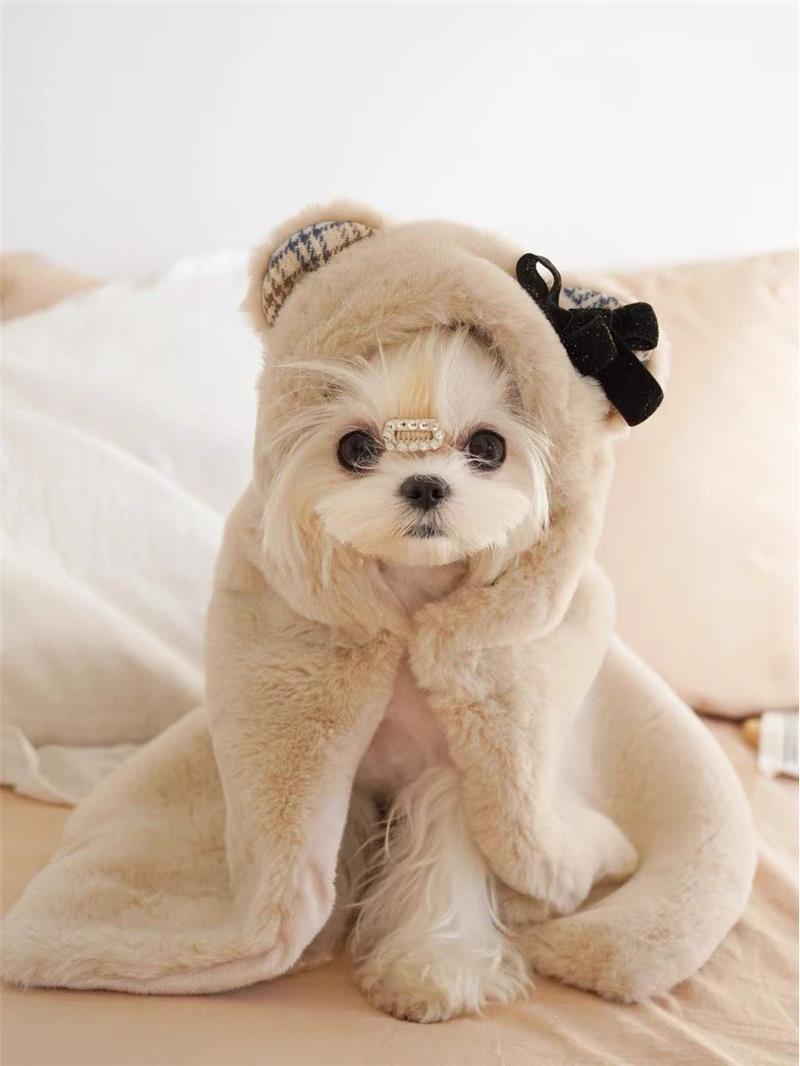 KFX-8340157 Cozy Bear Plush Cloak for Dogs and Cats - Warm Autumn/Winter Blanket