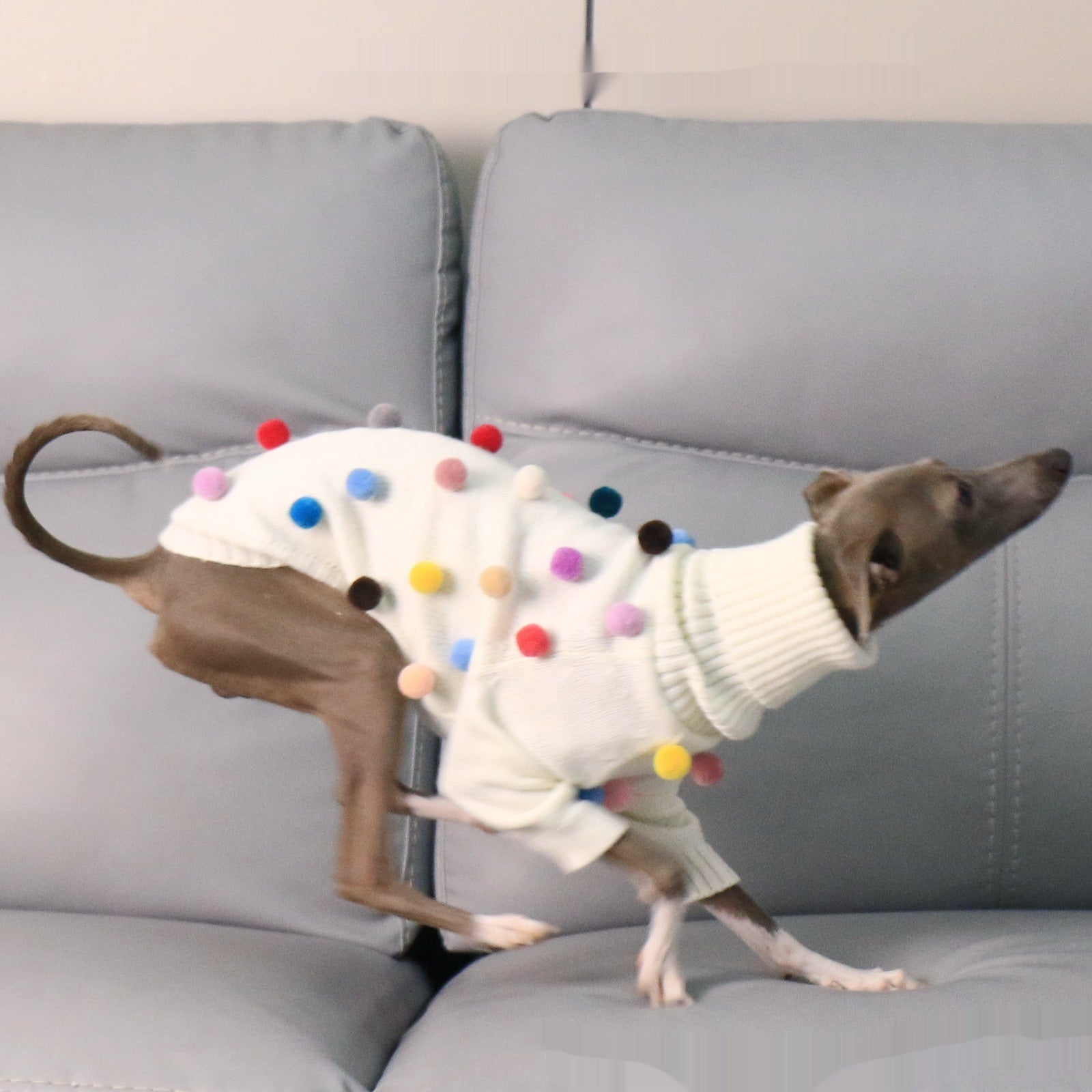 KFX-8345021 Cozy White Pom Pom Sweater for Italian Greyhounds and Whippets, Unisex Sizes S-3XL