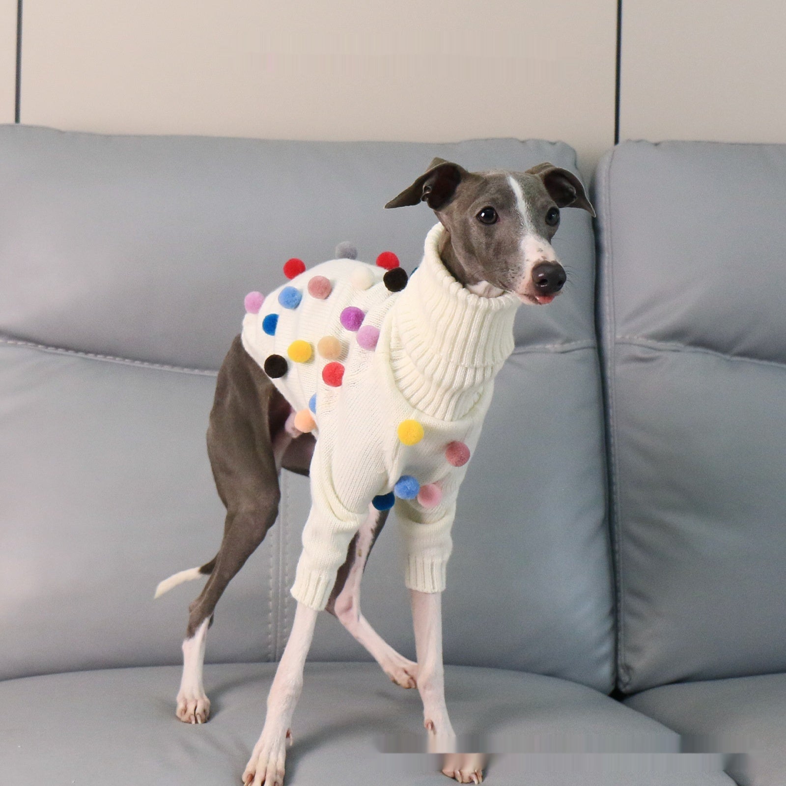 KFX-8345021 Cozy White Pom Pom Sweater for Italian Greyhounds and Whippets, Unisex Sizes S-3XL