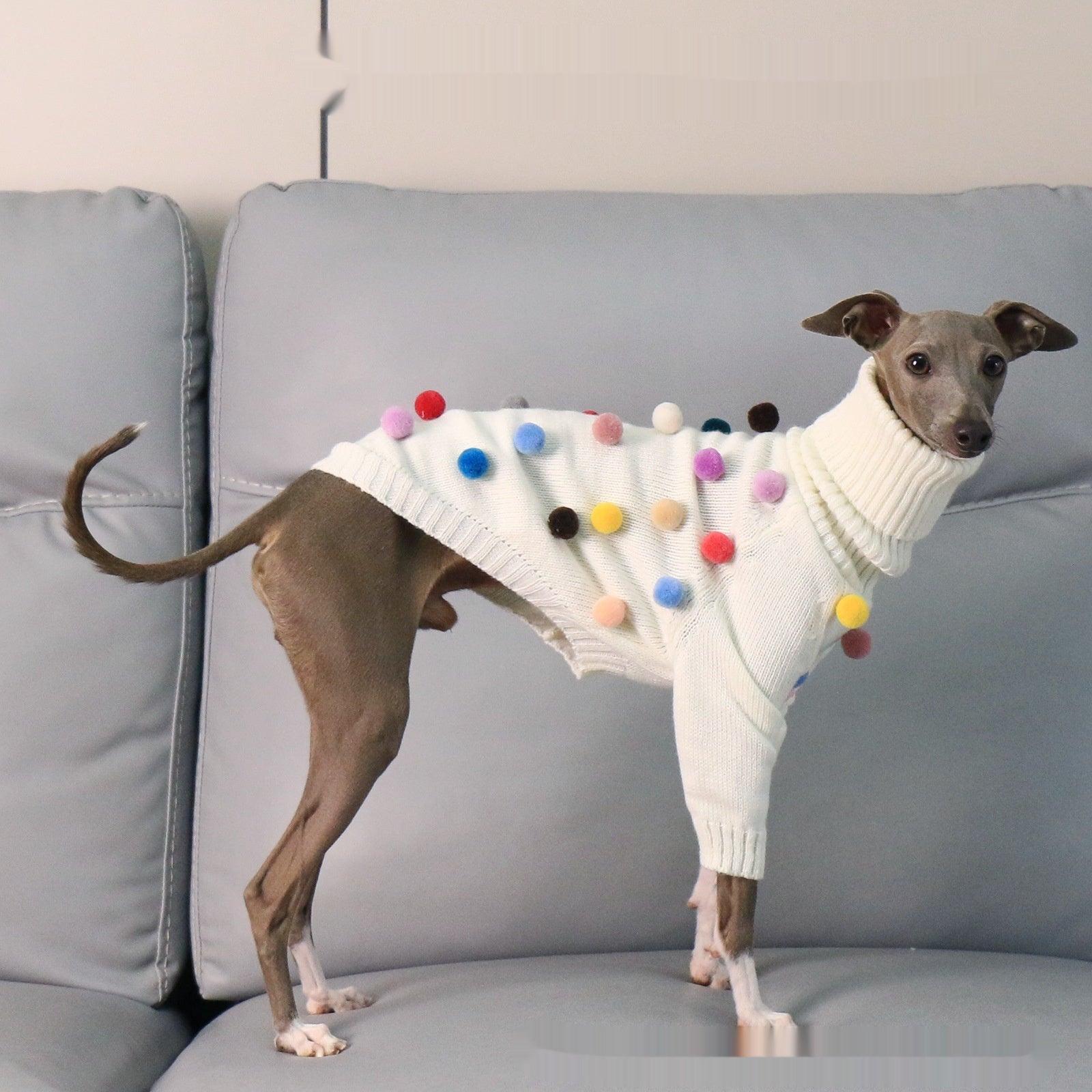 KFX-8345021 Cozy White Pom Pom Sweater for Italian Greyhounds and Whippets, Unisex Sizes S-3XL
