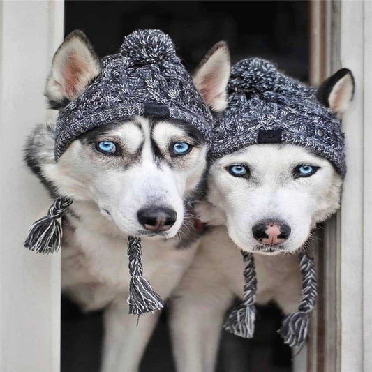 KFX-8355901 Cozy Woolen Dog Hat for Autumn & Winter - Gray Linen, Sizes S to L