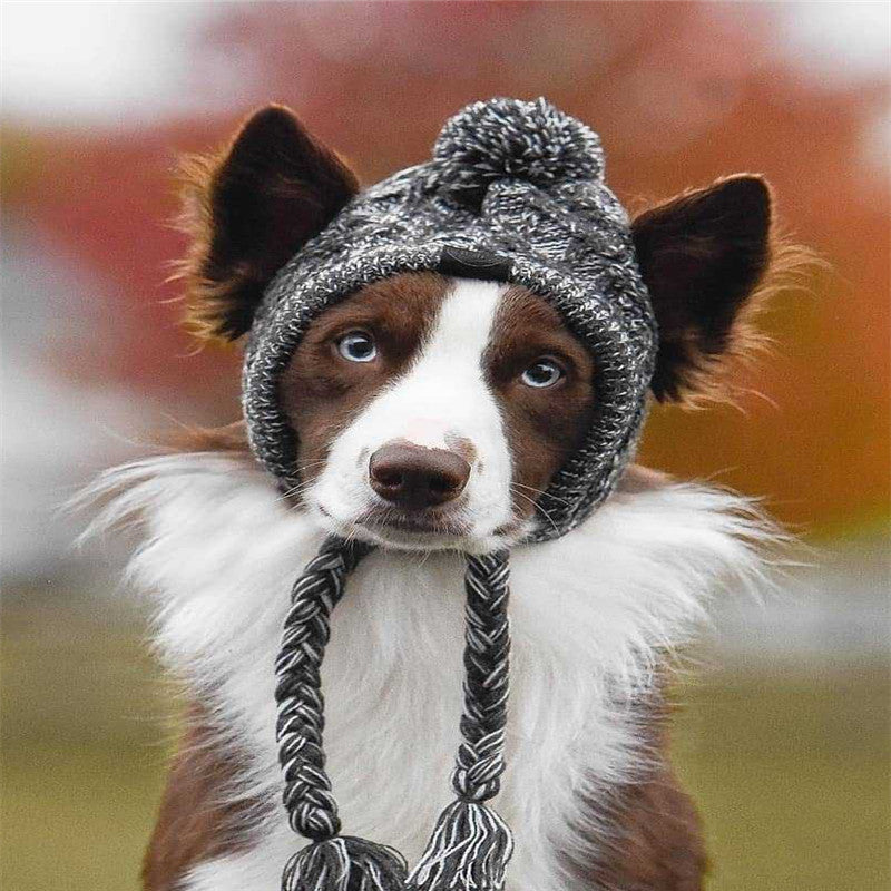 KFX-8355901 Cozy Woolen Dog Hat for Autumn & Winter - Gray Linen, Sizes S to L